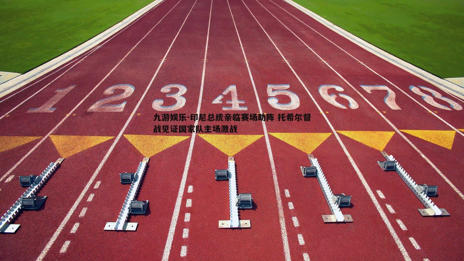 印尼总统亲临赛场助阵 托希尔督战见证国家队主场激战